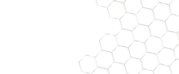 Poster - White background and embossed hexagon , honeycomb white background, light and shadow background with hexagons, abstract background with lines, modern abstract vector illustration, Poster, wallpaper.	