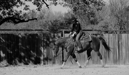 Canvas Print - Western lifestyle concept with rider on horse in outdoor arena in black and white.