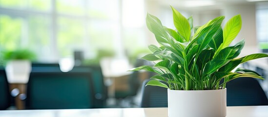 Aufkleber - Blurry background with fresh green plant in office area