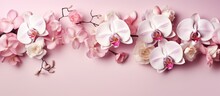 White And Pink Orchids Used To Create A Stunning Flower Arrangement