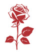 Red rose flower outline contour silhouette vector drawing.Floral beautiful wedding element.Stencil tattoo design.Decor.Decoration.Vinyl wall sticker decal.Plotter laser cutting.Beauty salon logo.DIY