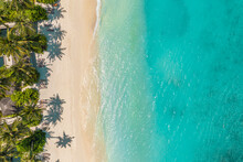 Aerial Top View On Sand Beach. Tropical Beach With White Sand Turquoise Sea, Palm Trees Under Sunlight. Drone View, Luxury Travel Destination Scenic, Vacation Landscape. Amazing Nature Paradise Island