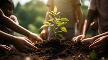 Close-up Of Children Hands Planting A Tree In The Soil.