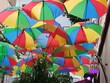 colorful umbrellas in the rain