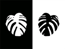Set Of Monochrome Silhouette Illustrations Of Philodendron Leaves In High Contrast Cards
