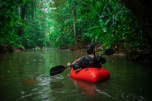 Unknown Man In A Red Kayak Floating Towards Lush Vegetation Visible Around. Palm Trees, Mangroves, Leaves And Other Plants In Rain.