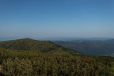 Fototapeta Konie - Pejzaż ze szlaku na Babią Górę