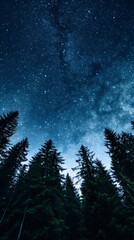 Wall Mural - The Milky Way painting the night sky, stars glittering like diamonds, an awe-inspiring view of the cosmos.