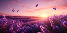 Sunset Bloomscape In Nature. Summer Symphony. Purple Meadows And Lavender Fields With Butterfly. Aromatic In Full Bloom