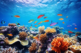 Fototapeta Fototapety do akwarium - 常夏の珊瑚礁
