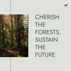 Wall Mural - Composite of cherish the forests, sustain the future text, idyllic view of trees growing in forest