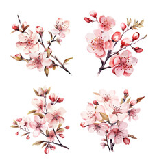 Wall Mural - Set of cherry blossom flowers isolated on white background. Watercolor style illustration. Generated AI