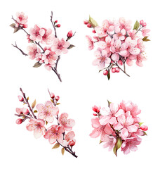 Wall Mural - Set of cherry blossom flowers isolated on white background. Watercolor style illustration. Generated AI