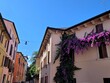 Begrünte Häuser in Veronas Altstadt