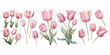 © Dgillustration12u - watercolor pink tulip clipart for graphic resources