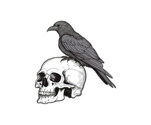 Raven Sitting On A Human Skull Hand Drawn Sketch. Vector Illustration Design.