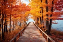 Colorful Fall Trees On Wooden Path In Northern Michigan. Generative AI