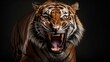 A powerful tiger captured in mid-roar, its majestic presence dominating the frame, leaving a clear area for text placement. regal roar, powerful tiger, majestic presence, AI generated.
