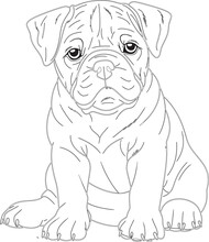 Coloring Pages , Animal Coloring Paages, Mandala Coloring Pages 