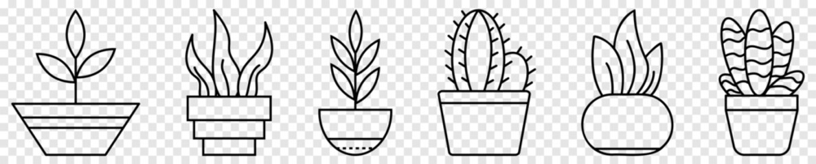 Wall Mural - House plants icon set. Decorative element in thin linear style. Vector illustration isolated on transparent background