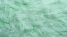 Soft Green Fur Texture