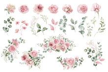 Watercolor Light Pink Flowers And Eucalyptus Greenery  PNG.  Wedding Clipart. Dusty Roses, Soft Blush Peony - Border, Wreath, Frame, Bouquet. Perfect For Stationary, Greeting Card, Fashion