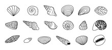 Black Doodle Outline Sea Shell Set