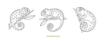 Coloring Book For Children Vector Illustration. Set Of Fabulous Chameleons On Branches In Cartoon Style. It Can Be Used To Decorate Children`s Books. Antistress Picture On White Isolated Background.