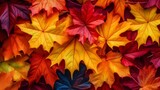 Fototapeta  - Illustration of vibrant autumn leaves scattered on the forest floor