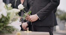 Hand, Rose And A Person At A Funeral In A Graveyard In Grief While Mourning Loss At A Memorial Service. Death, Flower And An Adult In A Suit At A Cemetery With A Coffin For An Outdoor Burial Closeup