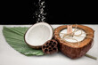 Świeczka ekologiczna kokos na zielonym liściu