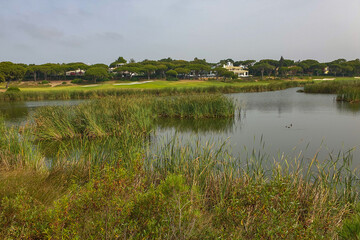 Wall Mural - Sao Lourenco Bird Hide bei Quinta do Lago