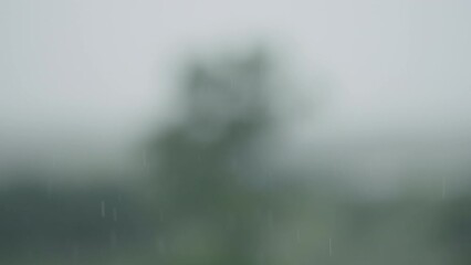 Wall Mural - Defocused background of rain over rural landscape