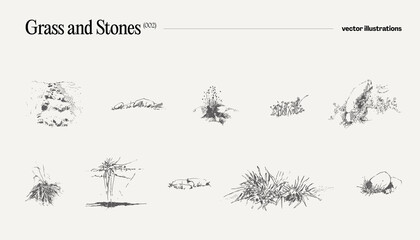 High detail hand drawn vector illustration of grass and stones, realistic drawing, sketch