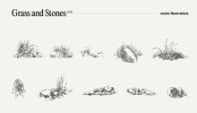 High Detail Hand Drawn Vector Illustration Of Grass And Stones, Realistic Drawing, Sketch