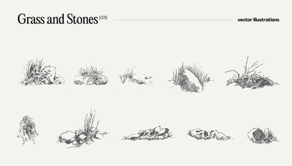 High detail hand drawn vector illustration of grass and stones, realistic drawing, sketch