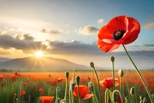 Red Poppy Field Generated Ai