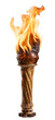 Burning wooden torch. Isolated on a transparent background.