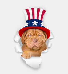 Poster - Serious Mastiff puppy wearing like Uncle Sam looking through a hole in paper. isolated on white background