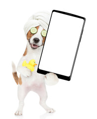 Poster - Funny jack russell terrier puppy with towel on it head and with  pieces of cucumber on it eyes holds rubber duck and big smartphone with white blank screen in it paw. isolated on white background
