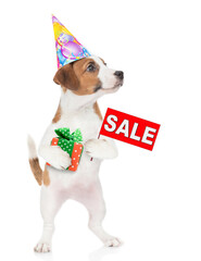 Poster - Jack russell terrier puppy  wearing a party cap holds gift box and shows signboard with labeled 