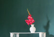 pink gladiolus in white vase on background green wall