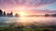 © Joseph Maniquet - Nebelige Eleganz: Der Sonnenaufgang in sanften Schleiern