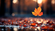 canvas print picture - Herbstblatt im Regen