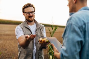 Wall Mural - Farmers shows corn grain to the inspector.