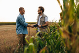 Fototapeta  - View form the corn field of two men shaking hands.
