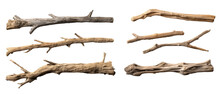 Driftwoods Isolated On Transparent Backgrounds . Generative AI