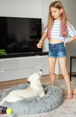 little girl playing with a golden retriever puppy at home.