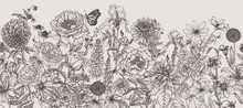 Seamless Horizontal Pattern Garden Autumn And Summer Flowers. Rose, Lily, Lupine, Tulip, Peony, Irises, Dahlia, Cosmos, Zinnia, Marigold, Calendula, Rudbeckia, Gladiolus, Datura, Eryngium, Allium