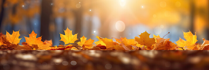 Wall Mural - Autumn leaves on the sun and blurred trees for fall background. Generative Ai